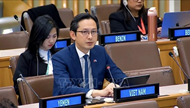 Viet Nam calls for stronger int